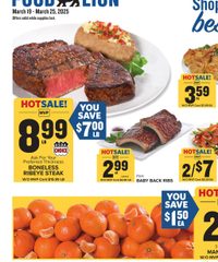 Food Lion Weekly Ad Weekly March 19 - 25, 2025